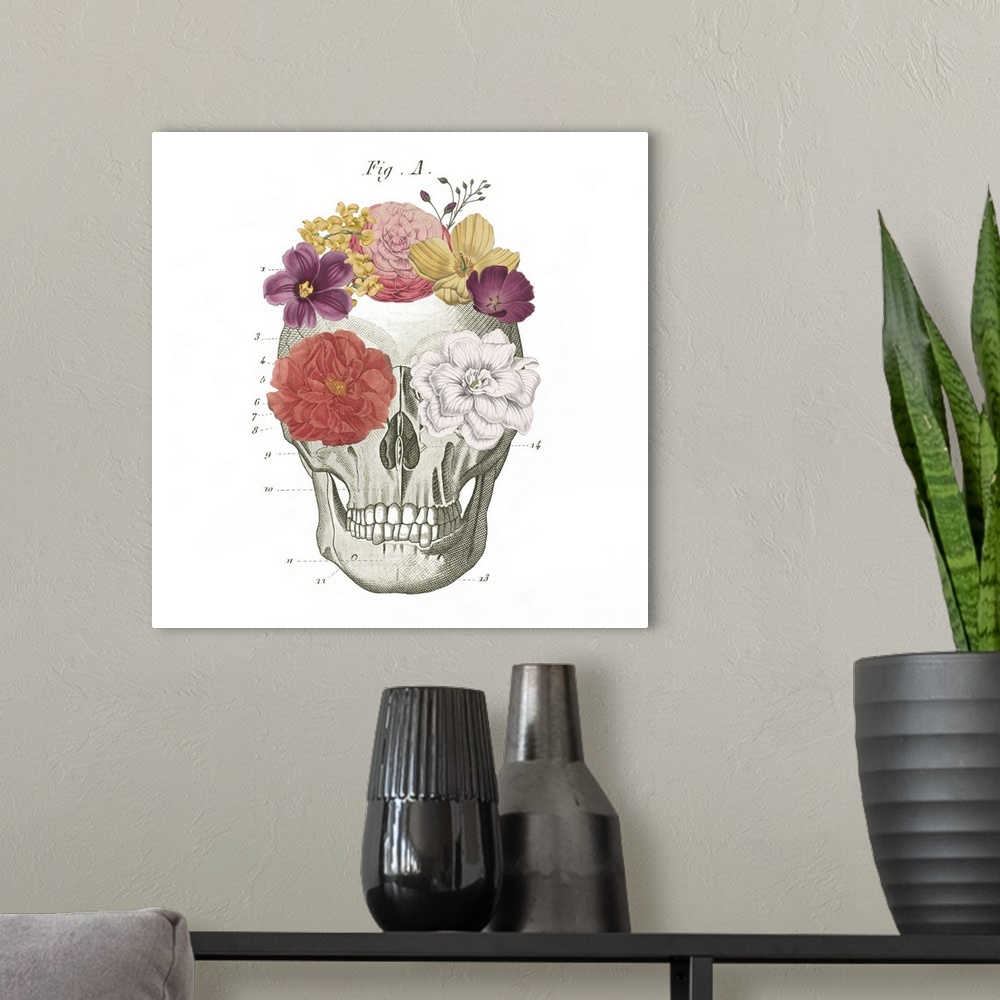 A modern room featuring Decorative artwork of a skull diagram with flowers on the eyes and head.