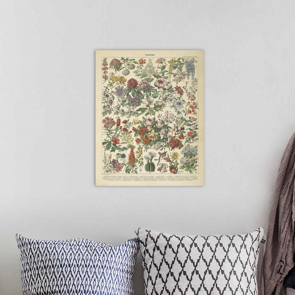 A bohemian room featuring French Flower Chart