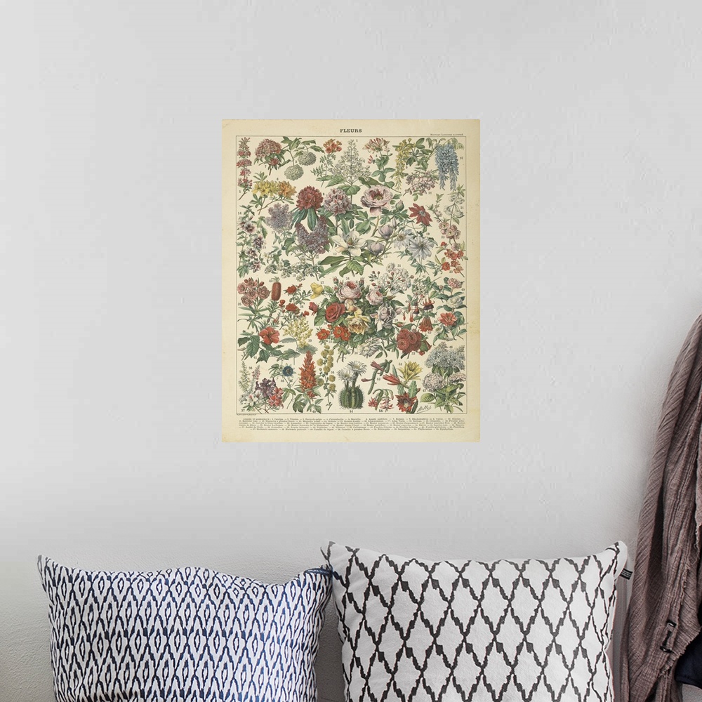 A bohemian room featuring French Flower Chart