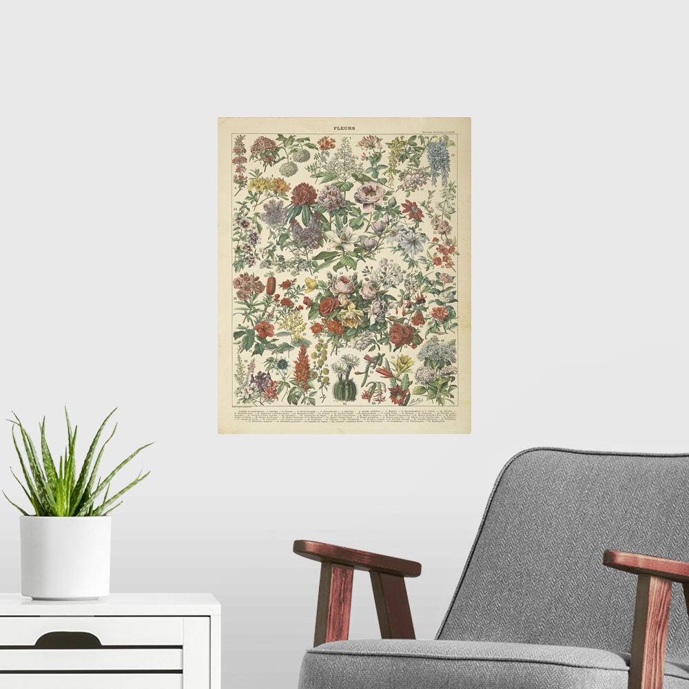 A modern room featuring French Flower Chart