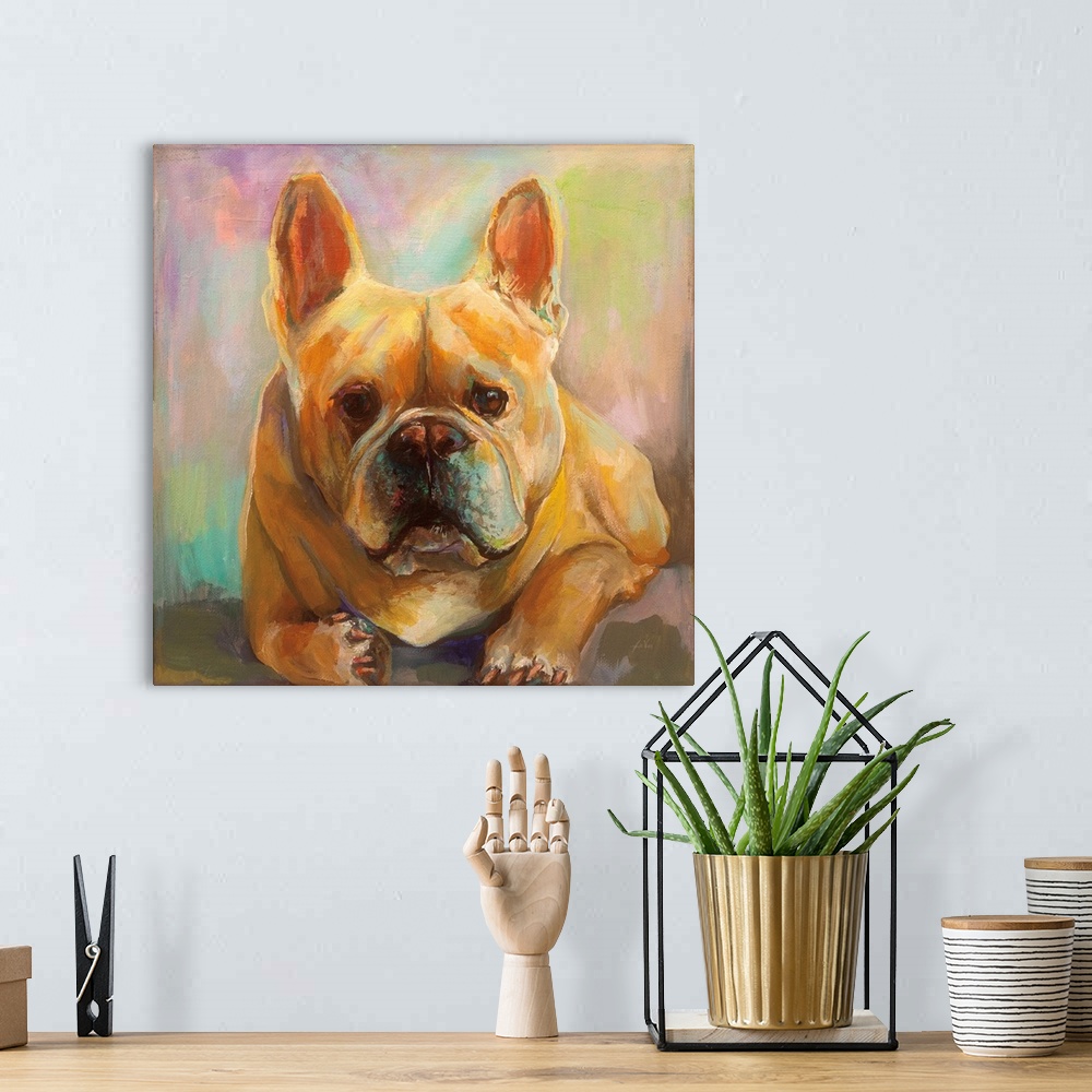 A bohemian room featuring Frenchie