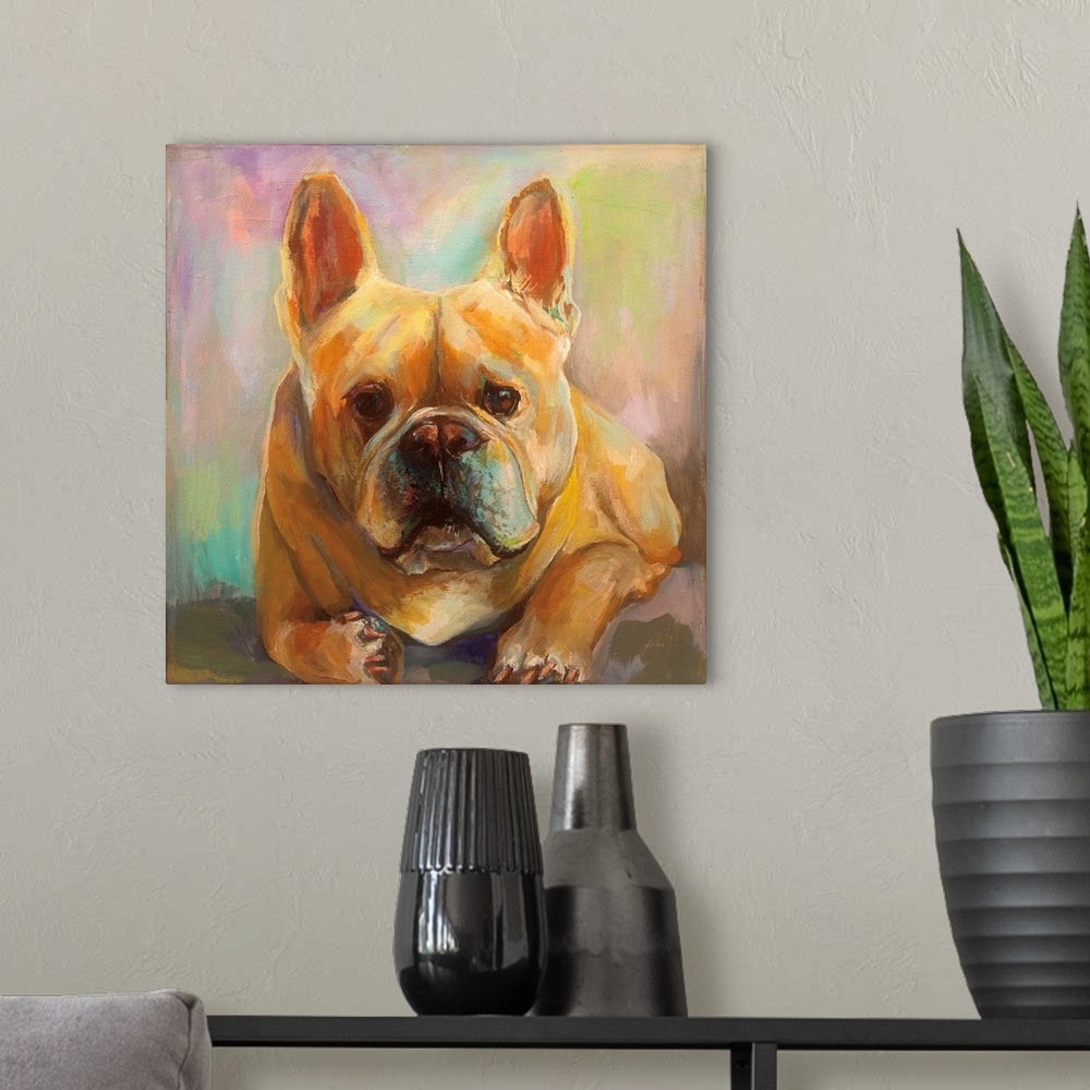 A modern room featuring Frenchie