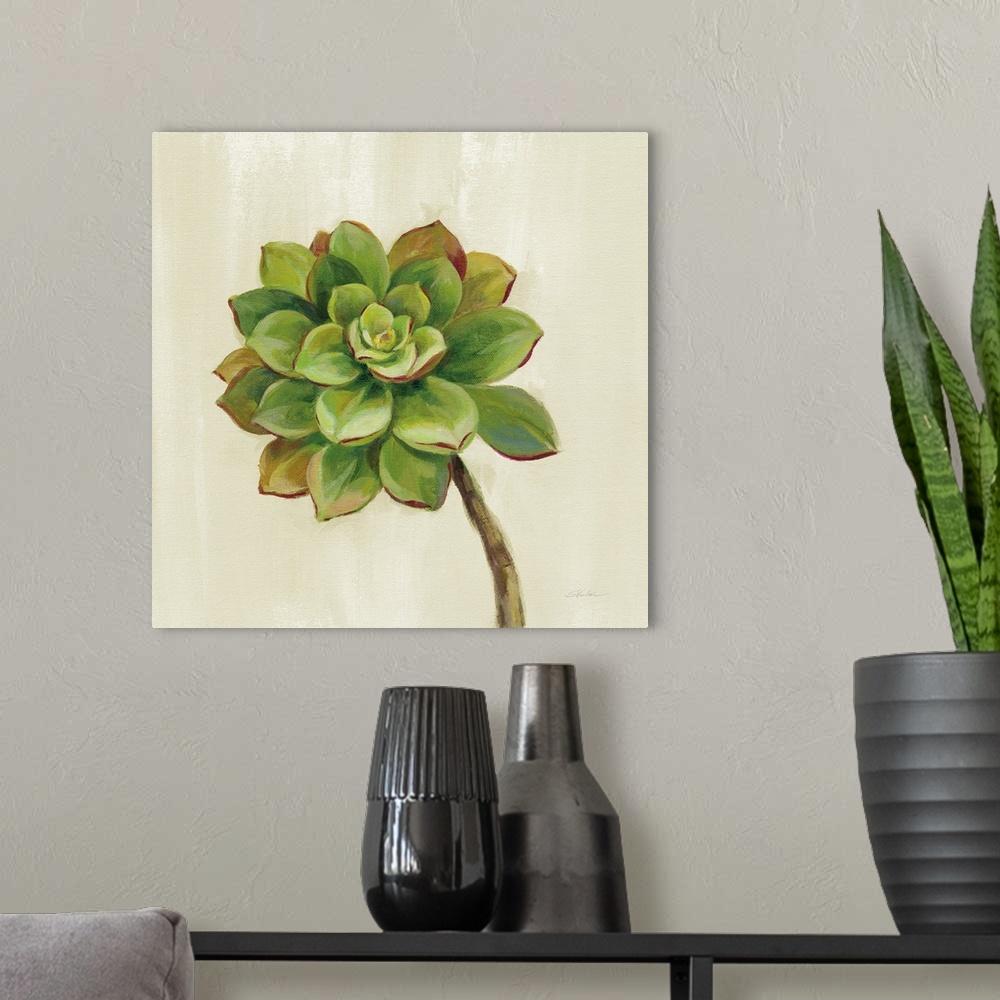 A modern room featuring Front Yard Succulent IV