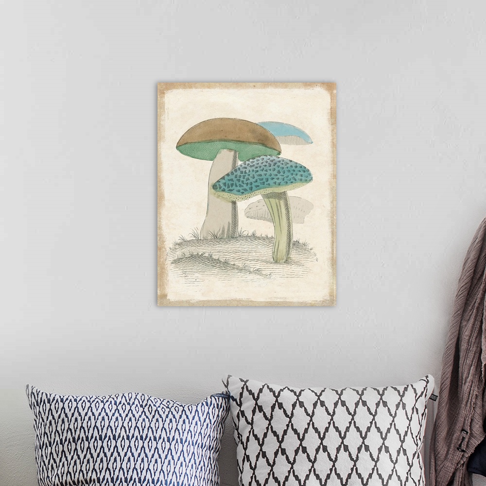 A bohemian room featuring Funghi Italiani Mushrooms