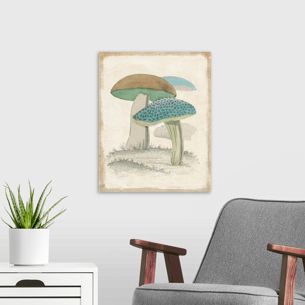 A modern room featuring Funghi Italiani Mushrooms