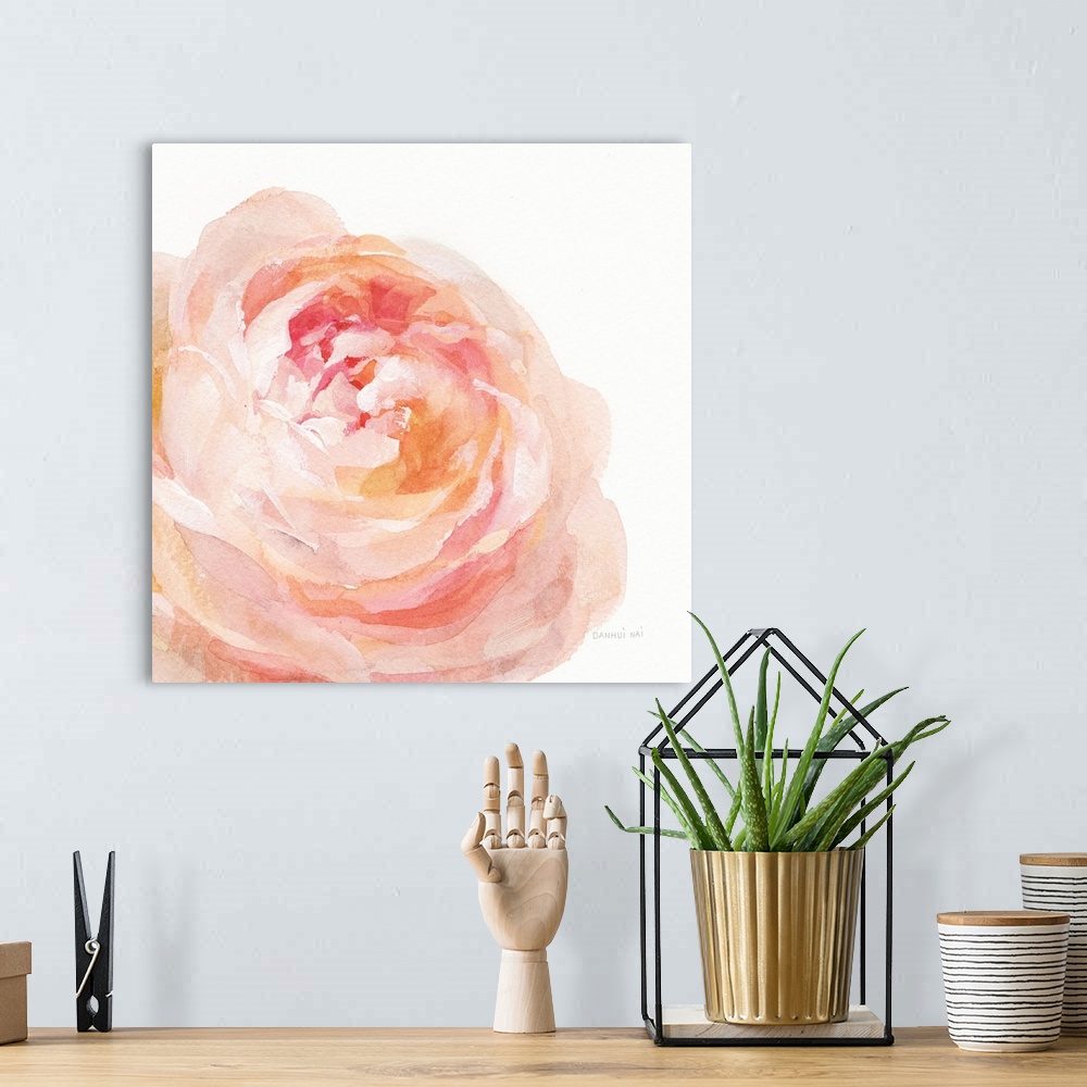 A bohemian room featuring Soft and delicate brush strokes create a garden rose bloom in warm colors over a white background.