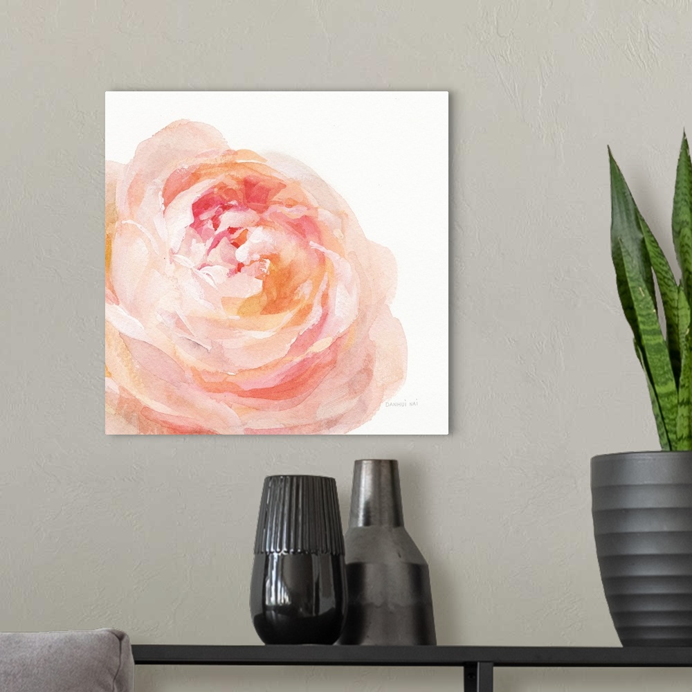 A modern room featuring Soft and delicate brush strokes create a garden rose bloom in warm colors over a white background.