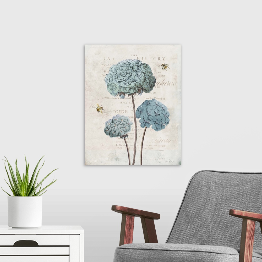A modern room featuring Vintage illustration of blue geraniums and bumble bees with faded text on the background.