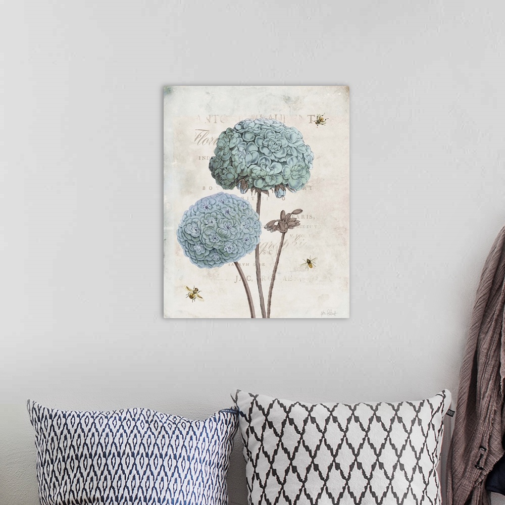 A bohemian room featuring Vintage illustration of blue geraniums and bumble bees with faded text on the background.
