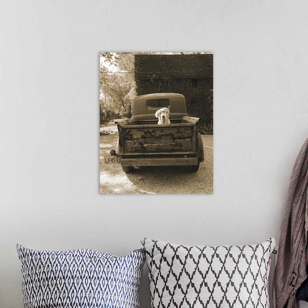 A bohemian room featuring A sepia toned photograph of a dog sitting in the back of a vintage truck at a farm.