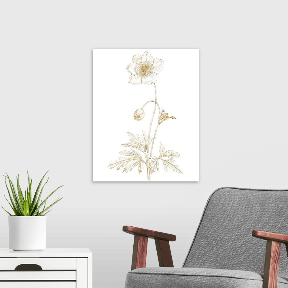 A modern room featuring Gold illustration of an anemone and flower bud on a solid white background.
