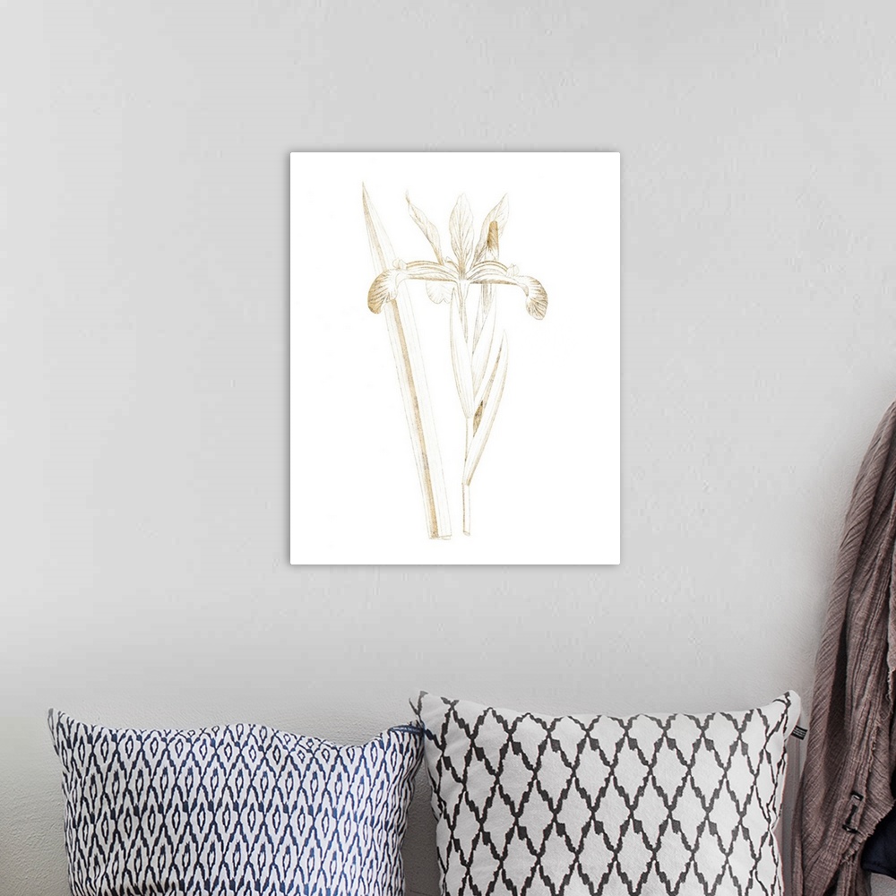 A bohemian room featuring Gold illustration of an iris on a solid white background.