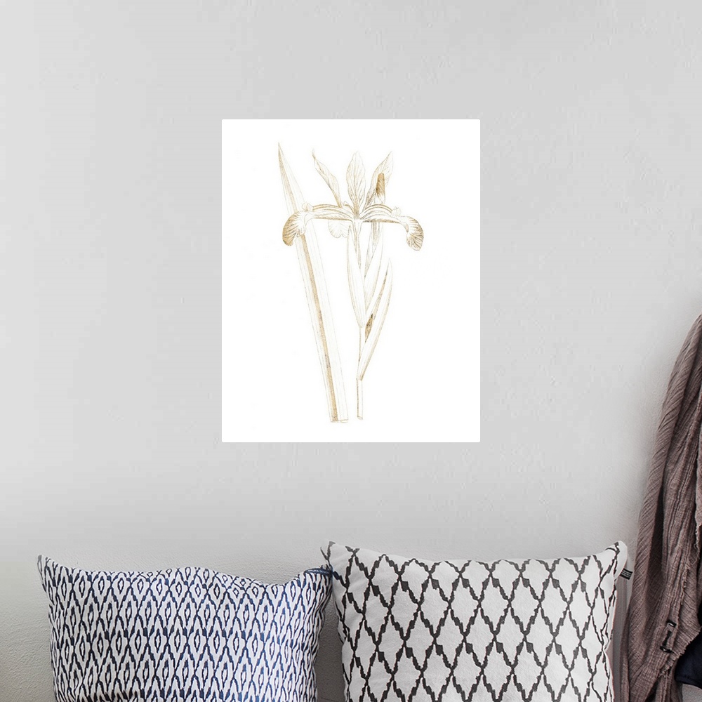 A bohemian room featuring Gold illustration of an iris on a solid white background.