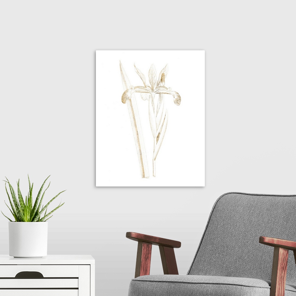 A modern room featuring Gold illustration of an iris on a solid white background.