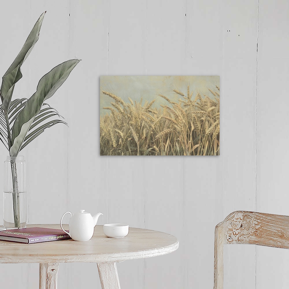 A farmhouse room featuring Gold Harvest