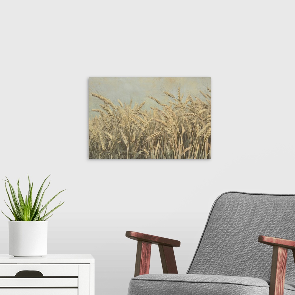 A modern room featuring Gold Harvest