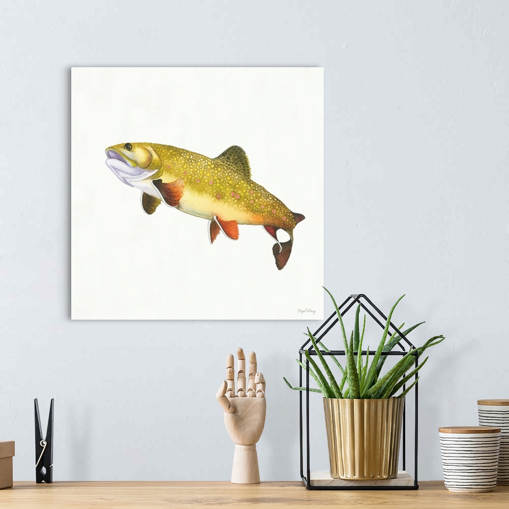 A bohemian room featuring Square watercolor painting of a Brook Trout on a solid white background.