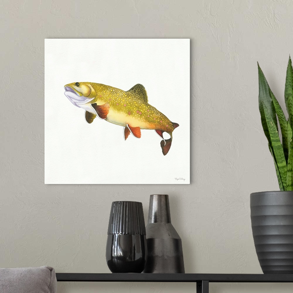 A modern room featuring Square watercolor painting of a Brook Trout on a solid white background.