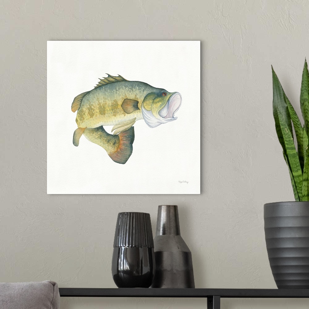 A modern room featuring Square watercolor painting of a large mouth bass on a solid white background.