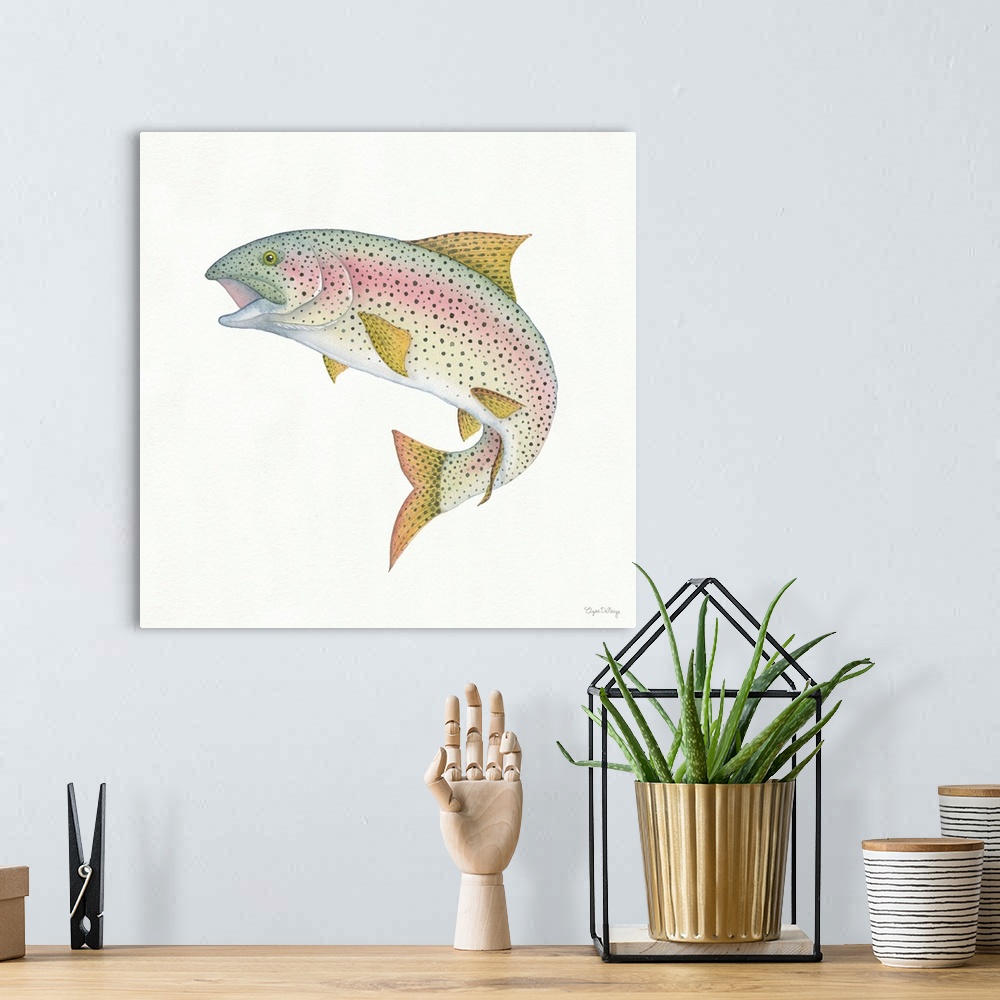 A bohemian room featuring Square watercolor painting of a rainbow trout on a solid white background.