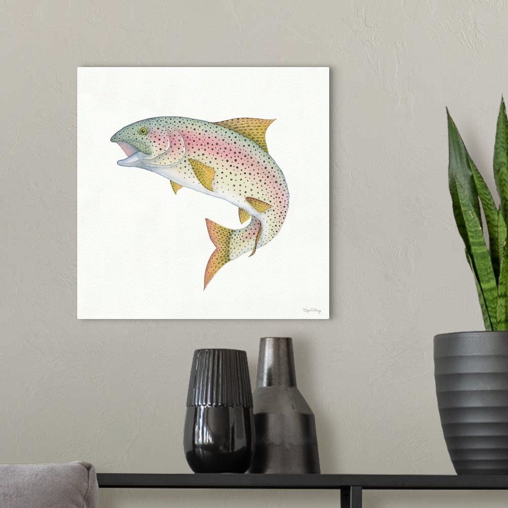 A modern room featuring Square watercolor painting of a rainbow trout on a solid white background.