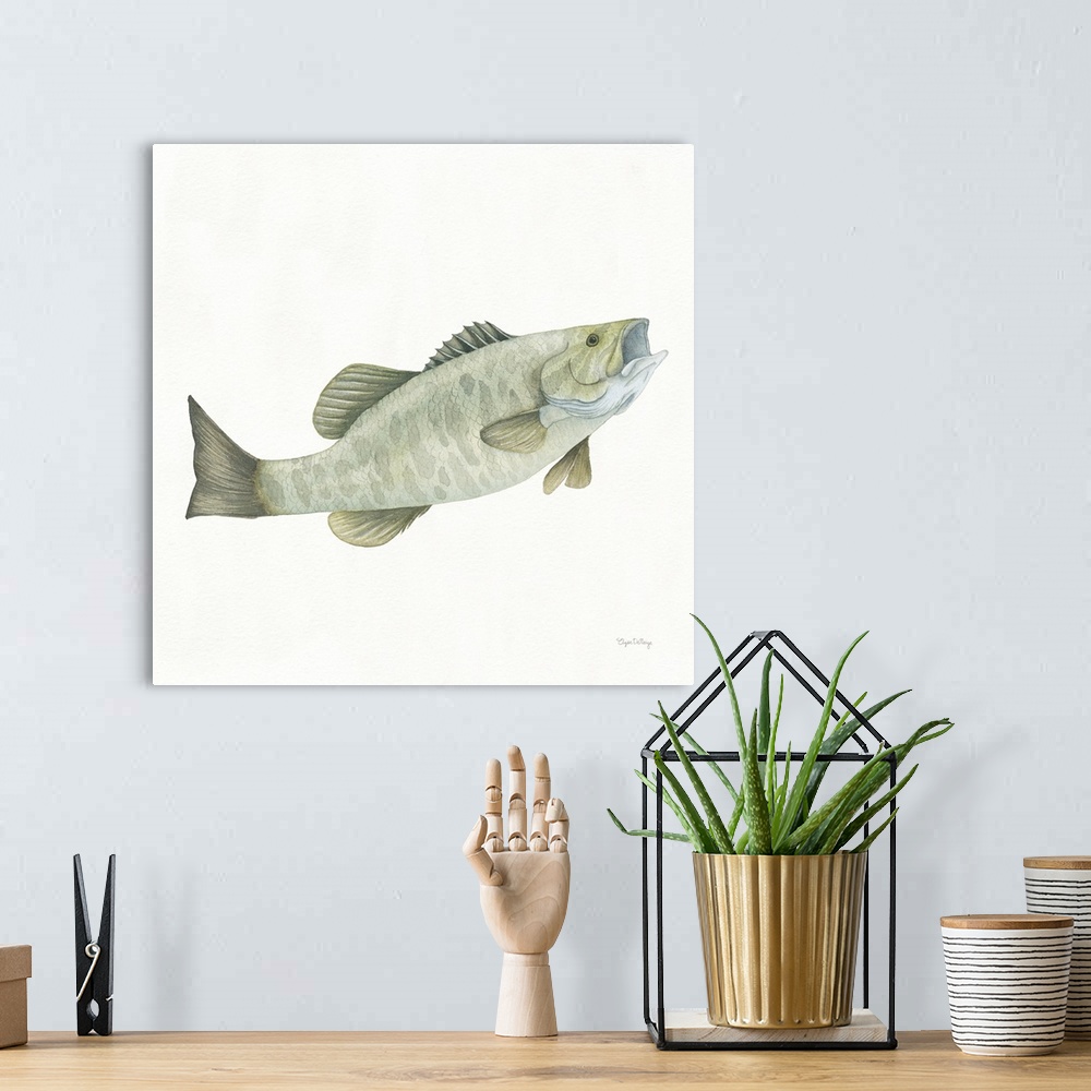 A bohemian room featuring Square watercolor painting of a small mouth bass on a solid white background.
