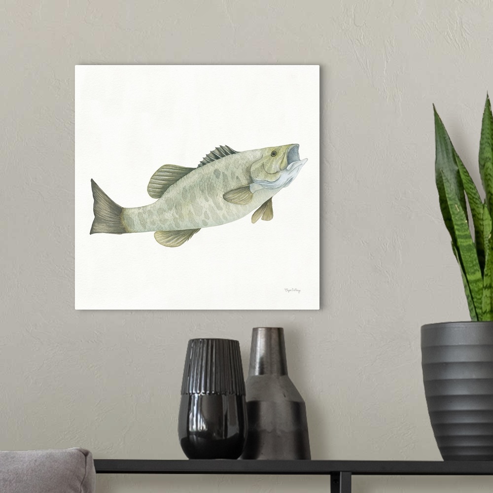 A modern room featuring Square watercolor painting of a small mouth bass on a solid white background.