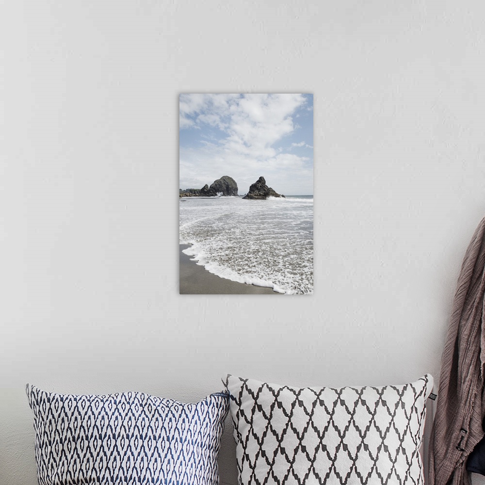 A bohemian room featuring Landscape photograph from Harris Beach State Park, Oregon.