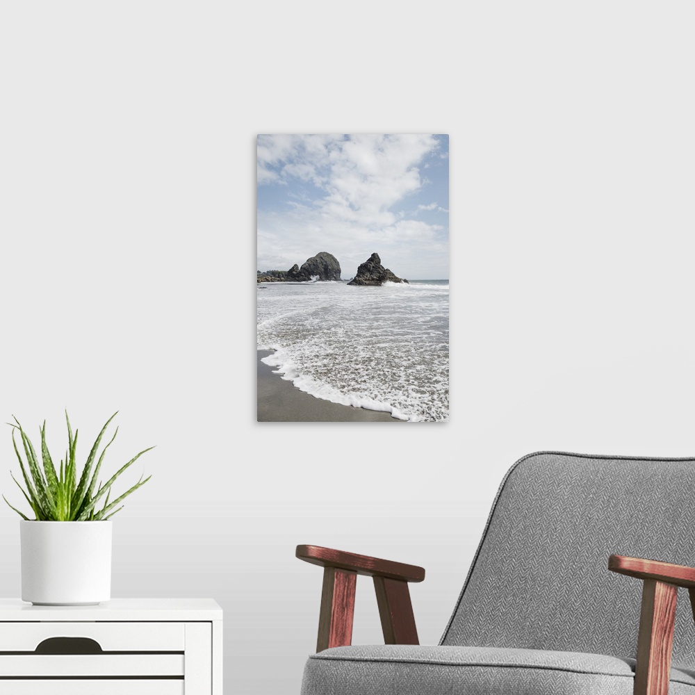 A modern room featuring Landscape photograph from Harris Beach State Park, Oregon.