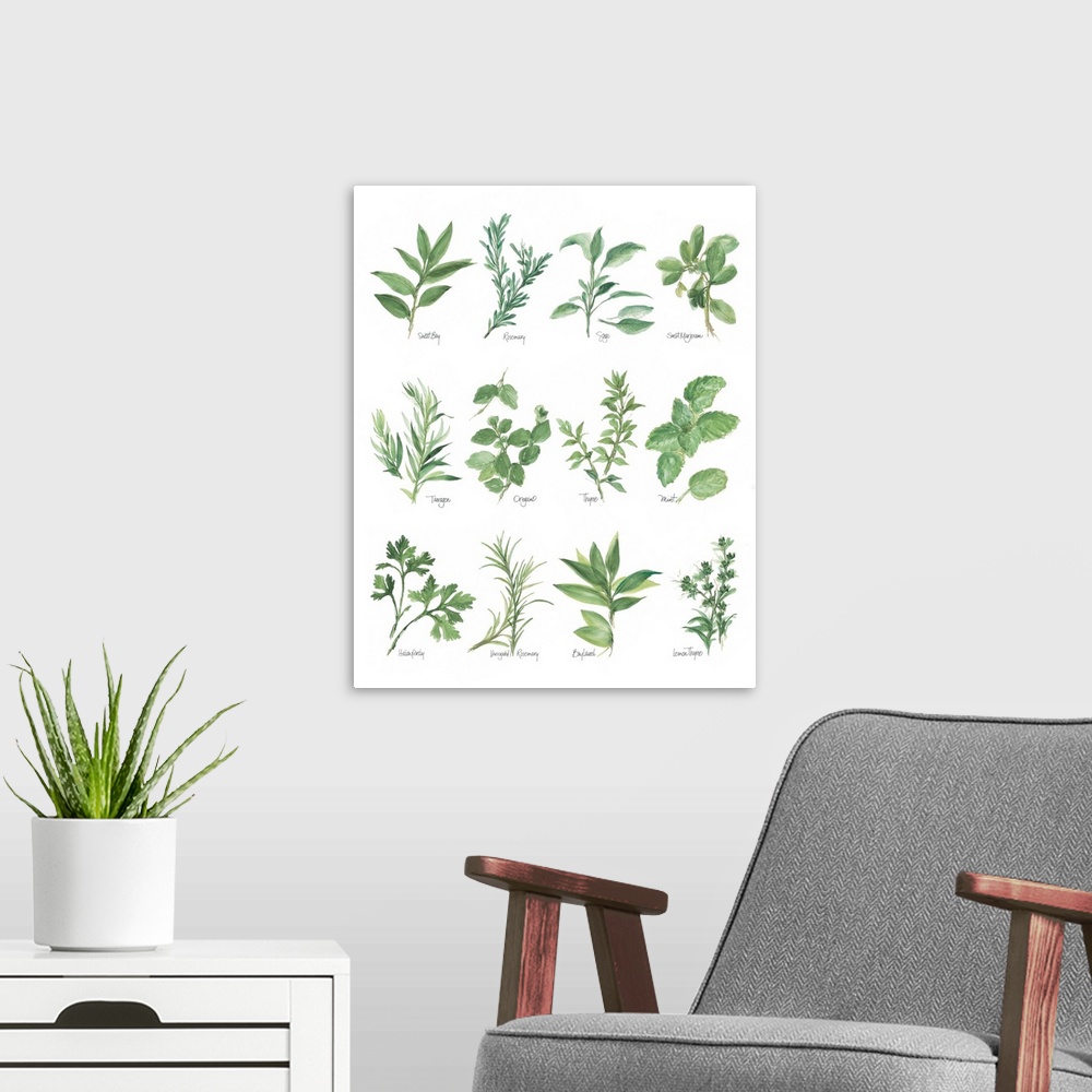 A modern room featuring Watercolor painted chart of various herbs with their titles underneath on solid white background.