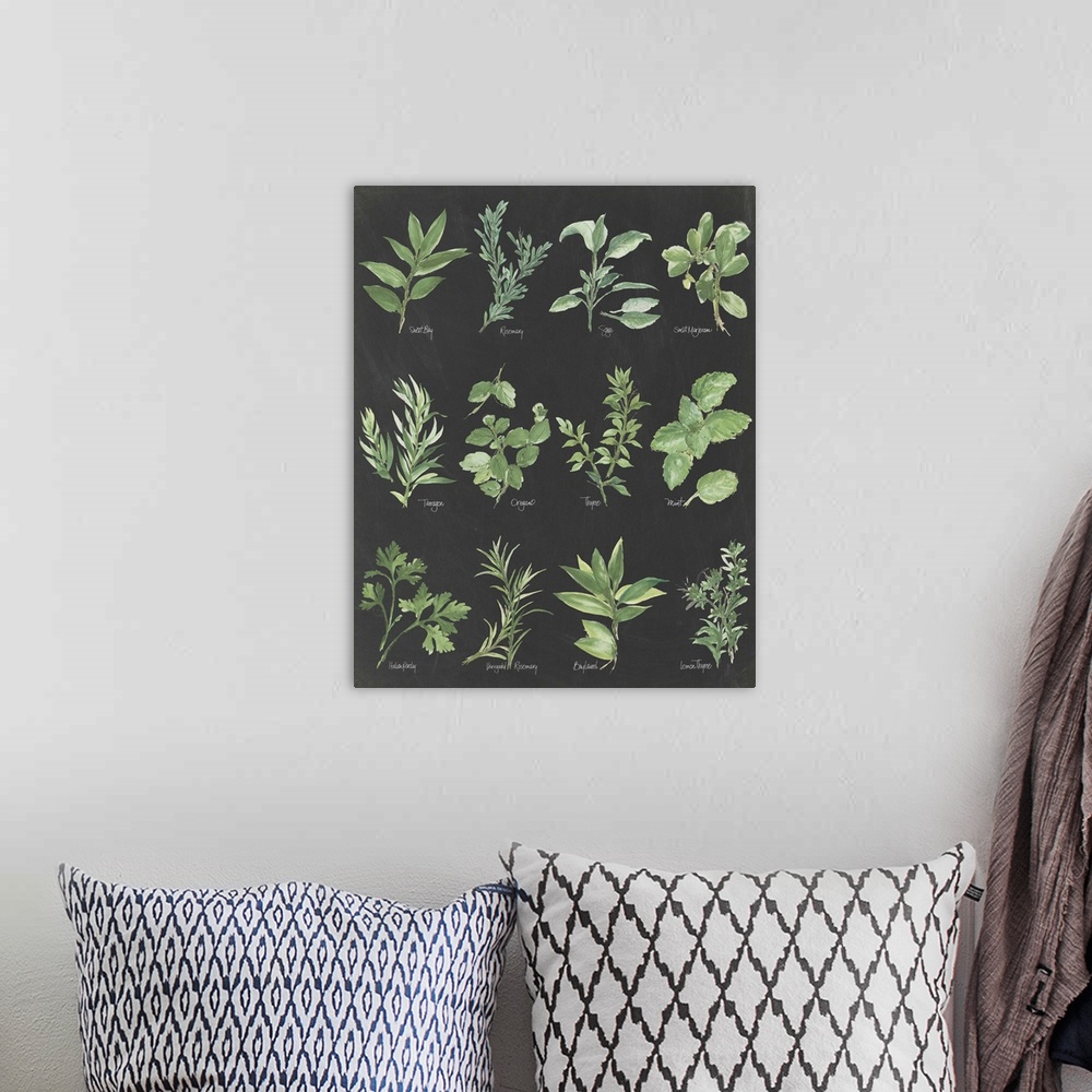 A bohemian room featuring Watercolor painted chart of various herbs with their titles underneath on a black background.