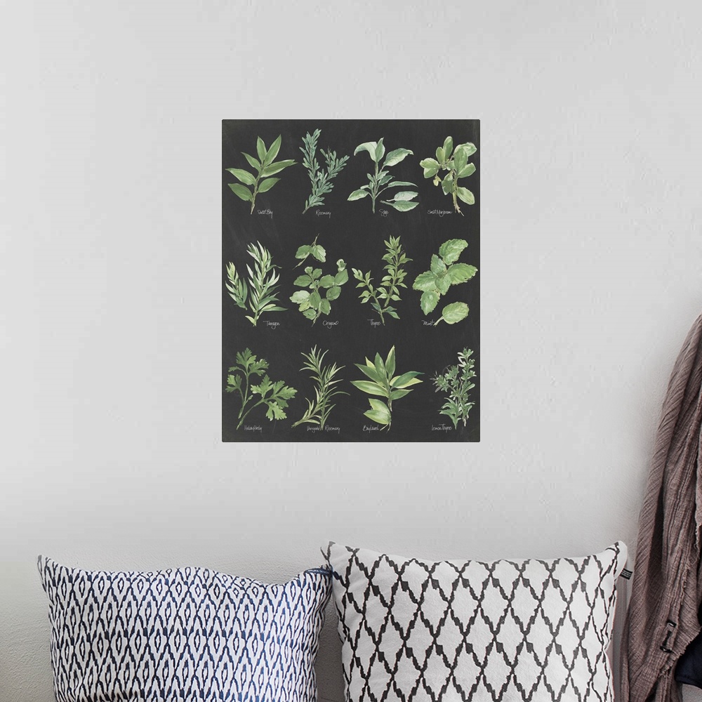 A bohemian room featuring Watercolor painted chart of various herbs with their titles underneath on a black background.