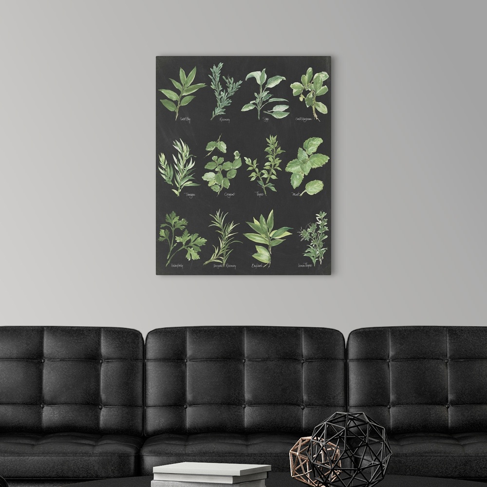 A modern room featuring Watercolor painted chart of various herbs with their titles underneath on a black background.