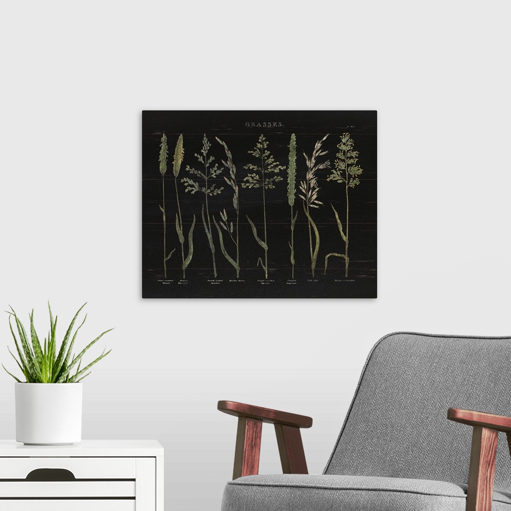 A modern room featuring Herbal Botanical VII Black Wood