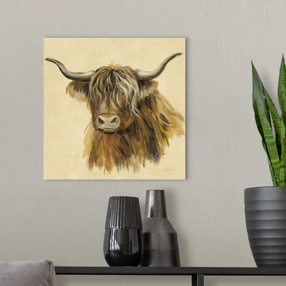 A modern room featuring Highland Animal Cow