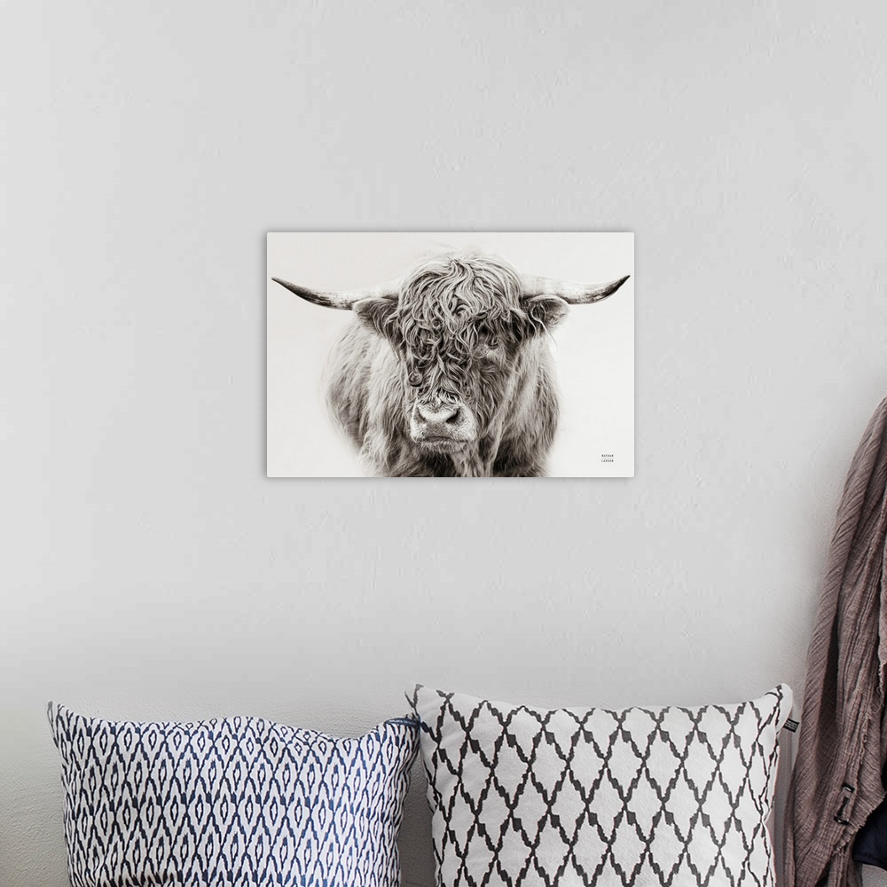 A bohemian room featuring A fine art photograph in black and white of a highland cow against a grey background. The texture...