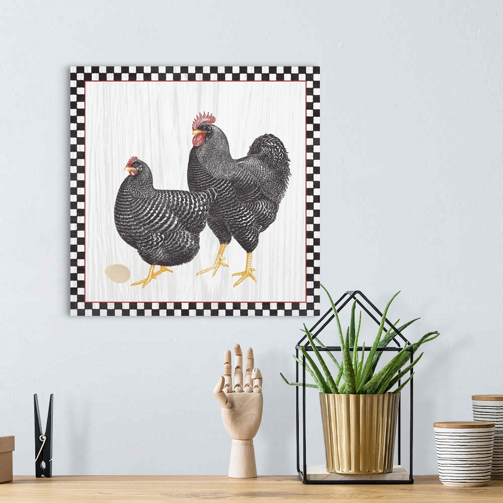 A bohemian room featuring Two roosters with an egg on a wood grain background with a black and white checkered boarder with...