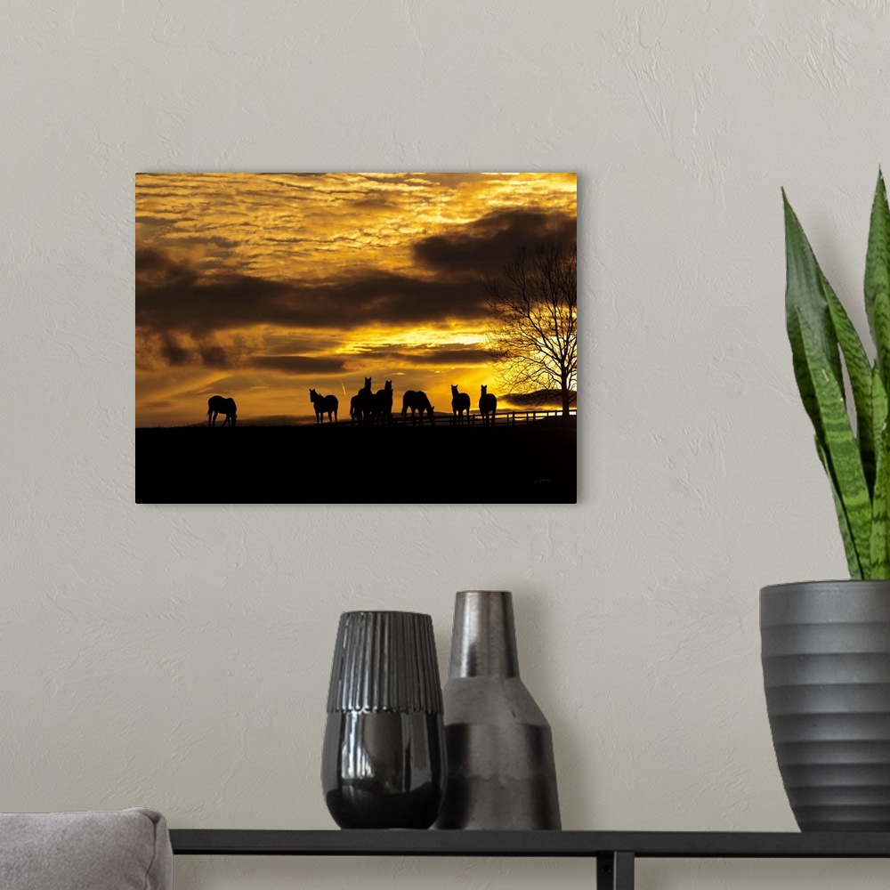 A modern room featuring Horses at Sunset