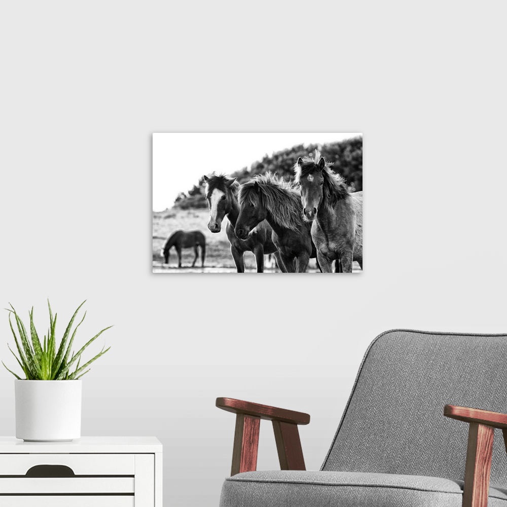 A modern room featuring Horses Three