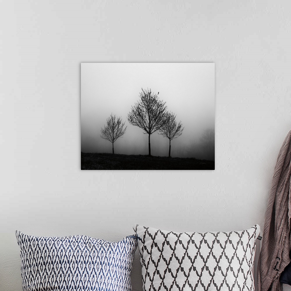 A bohemian room featuring Photograph of three trees standing in front of a vast area of fog.