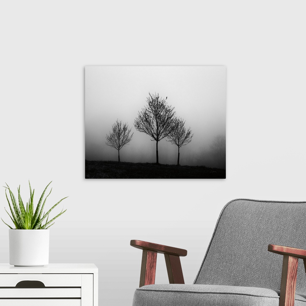 A modern room featuring Photograph of three trees standing in front of a vast area of fog.