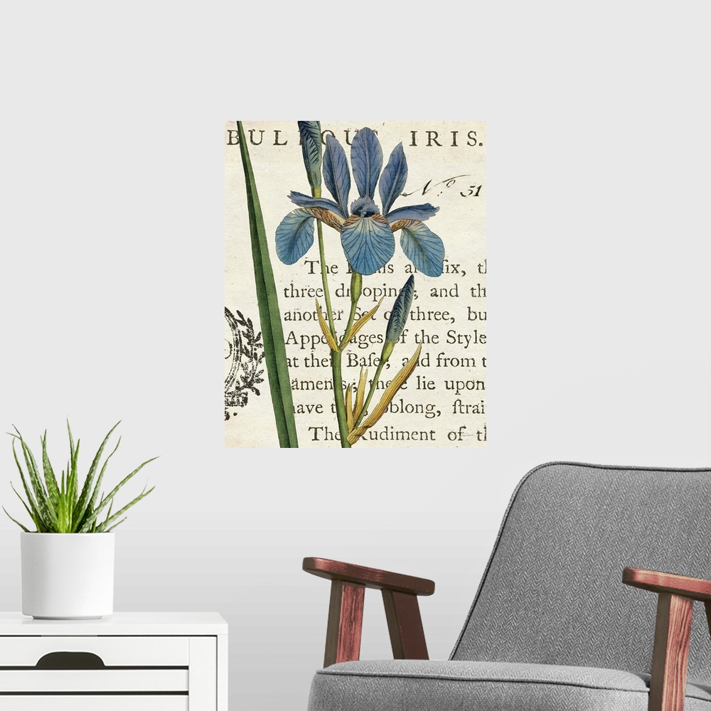 A modern room featuring Vintage stylized illustration of a blue iris against a cream background with text.