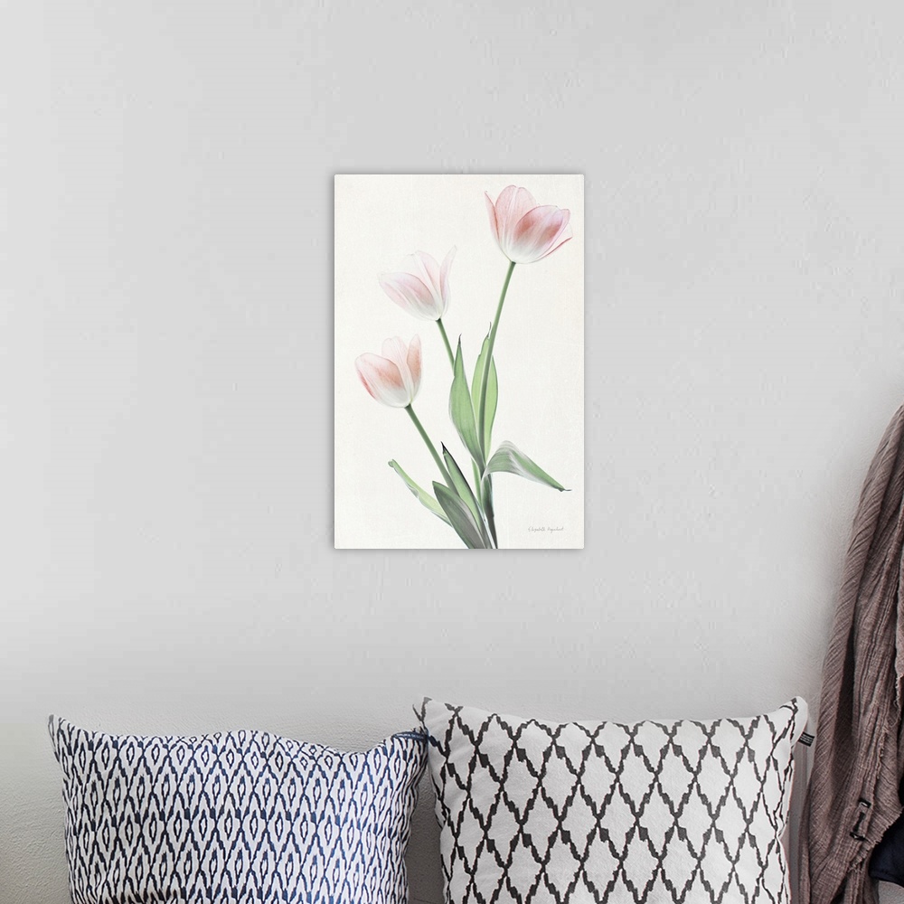 A bohemian room featuring Photograph of pink tulips in muted tones that fade into the white background.