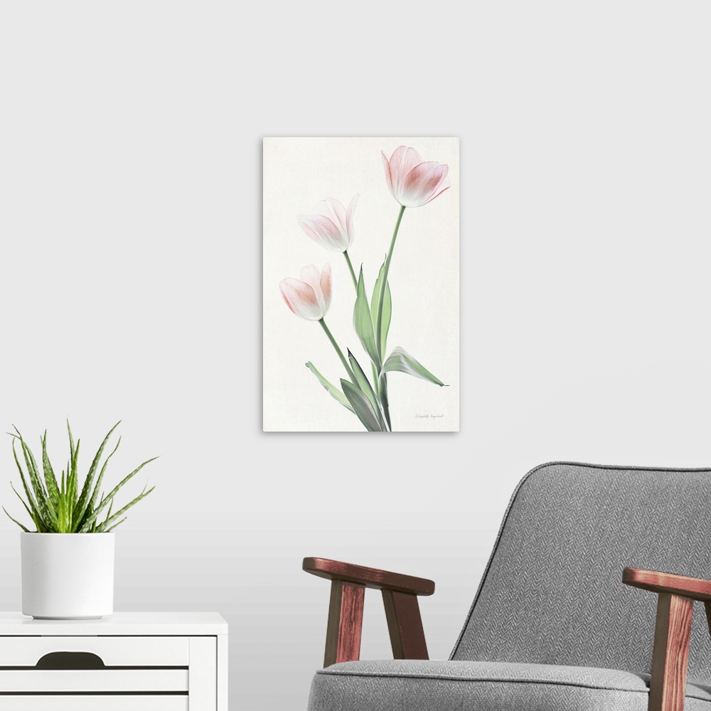 A modern room featuring Photograph of pink tulips in muted tones that fade into the white background.