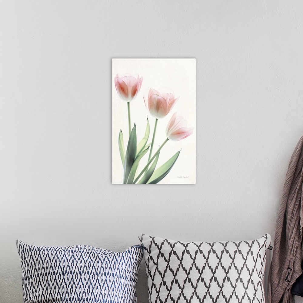 A bohemian room featuring Photograph of pink tulips in muted tones that fade into the white background.