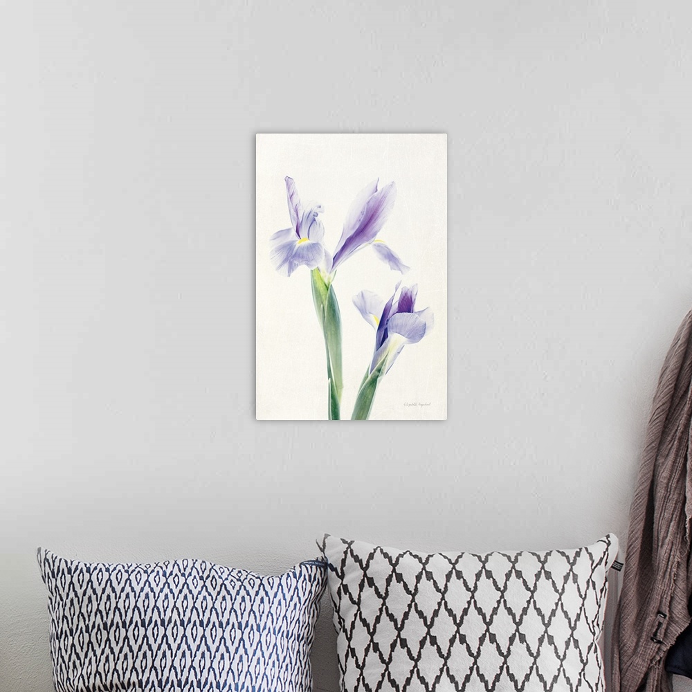 A bohemian room featuring Photograph of purple irises in muted tones that fade into the white background.