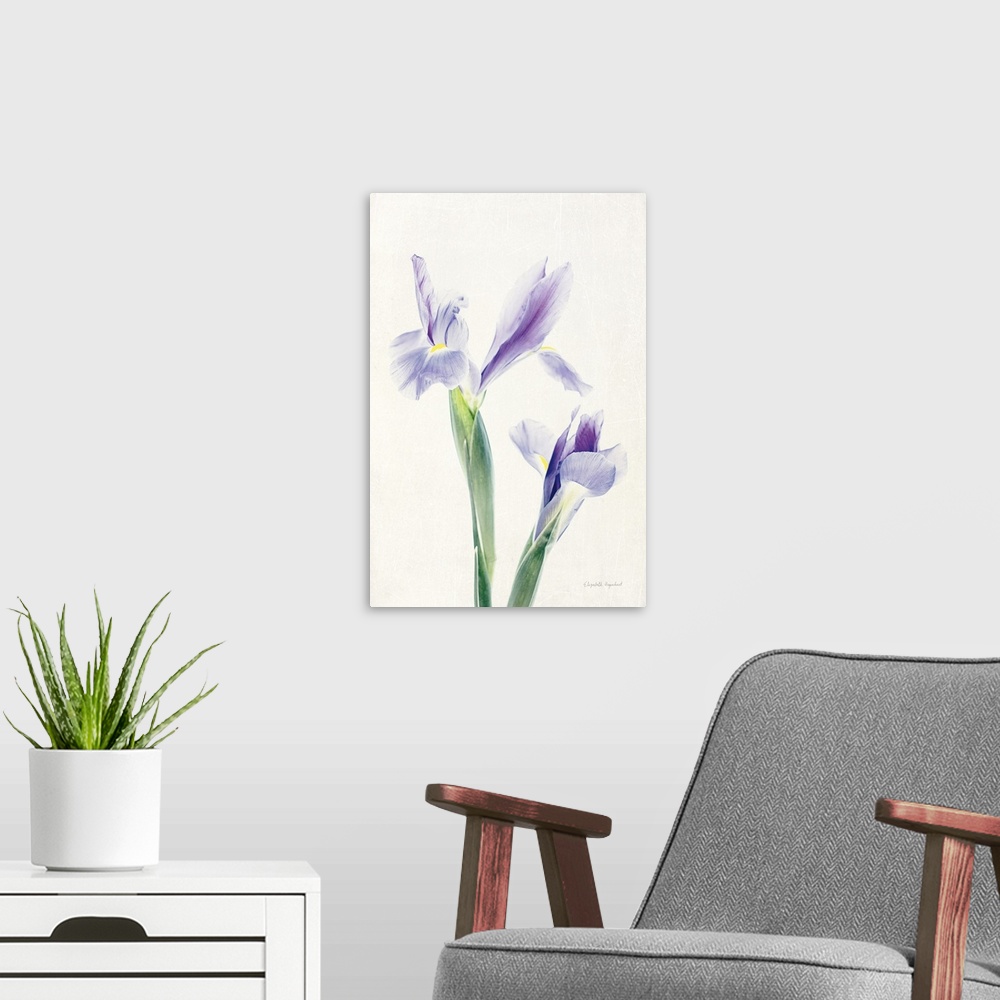 A modern room featuring Photograph of purple irises in muted tones that fade into the white background.