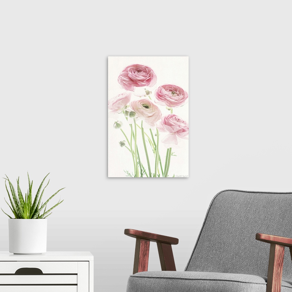 A modern room featuring Photograph of pink lady roses in muted tones that fade into the white background.