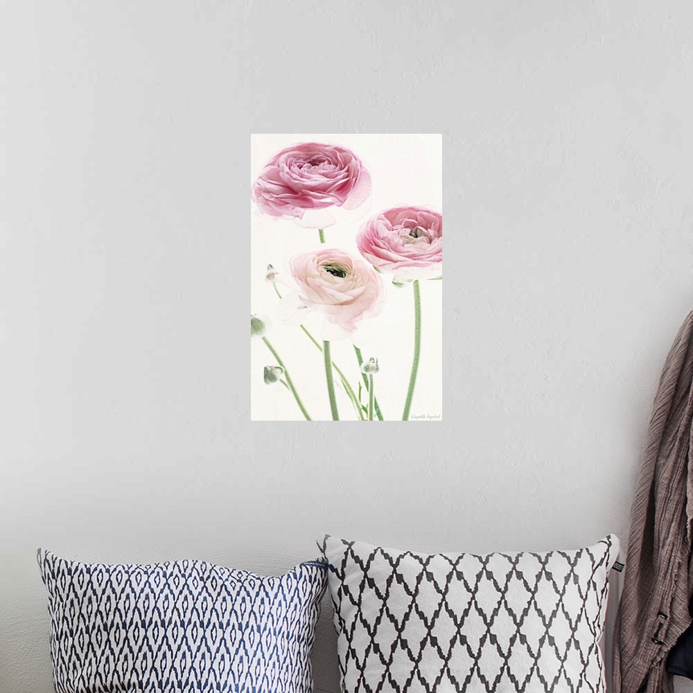 A bohemian room featuring Photograph of pink lady roses in muted tones that fade into the white background.