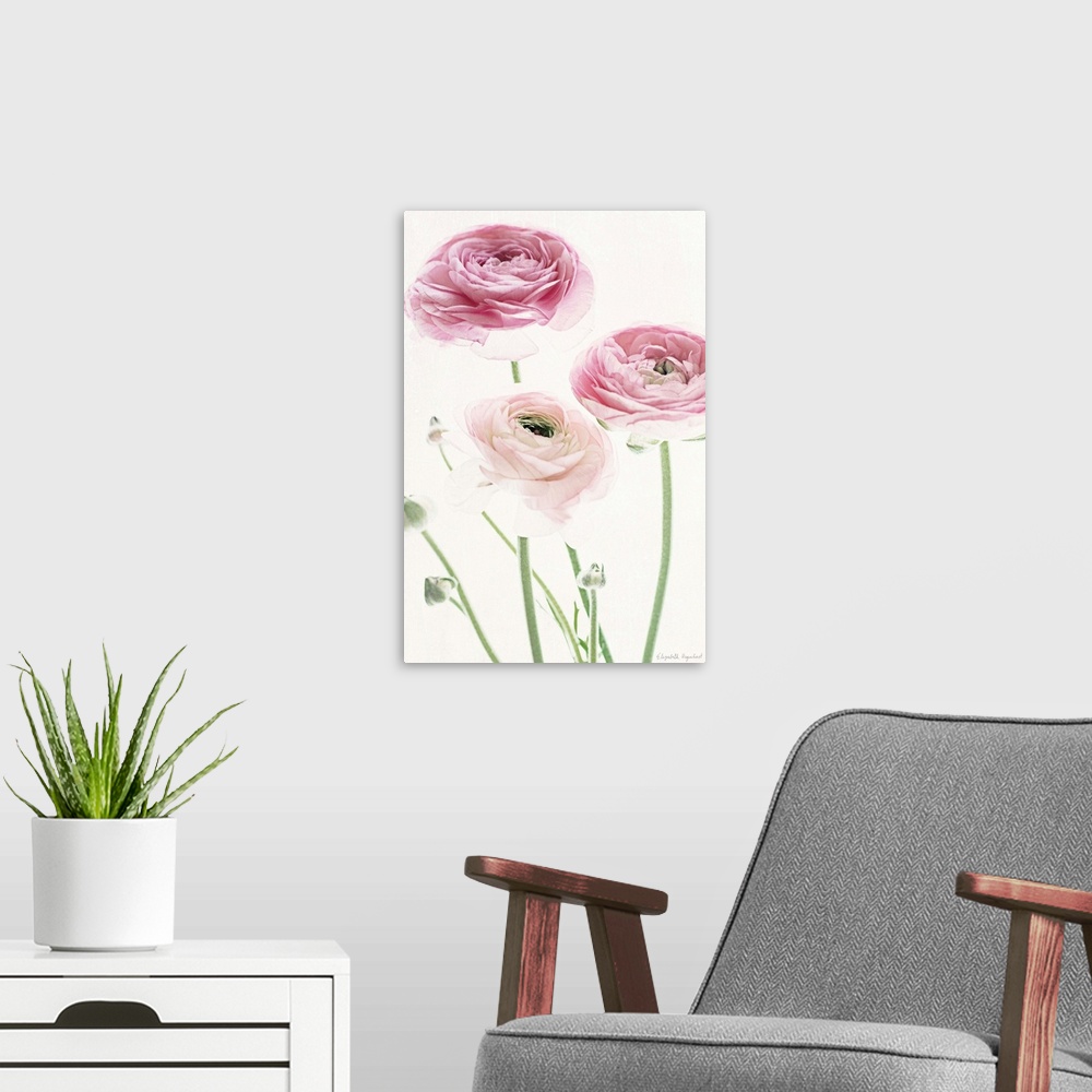 A modern room featuring Photograph of pink lady roses in muted tones that fade into the white background.